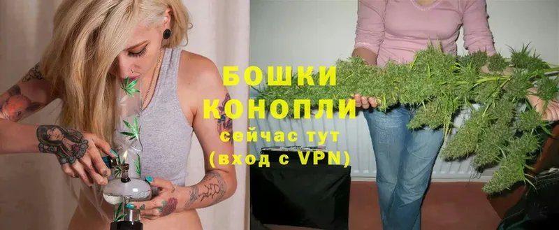 Каннабис Ganja  Оса 